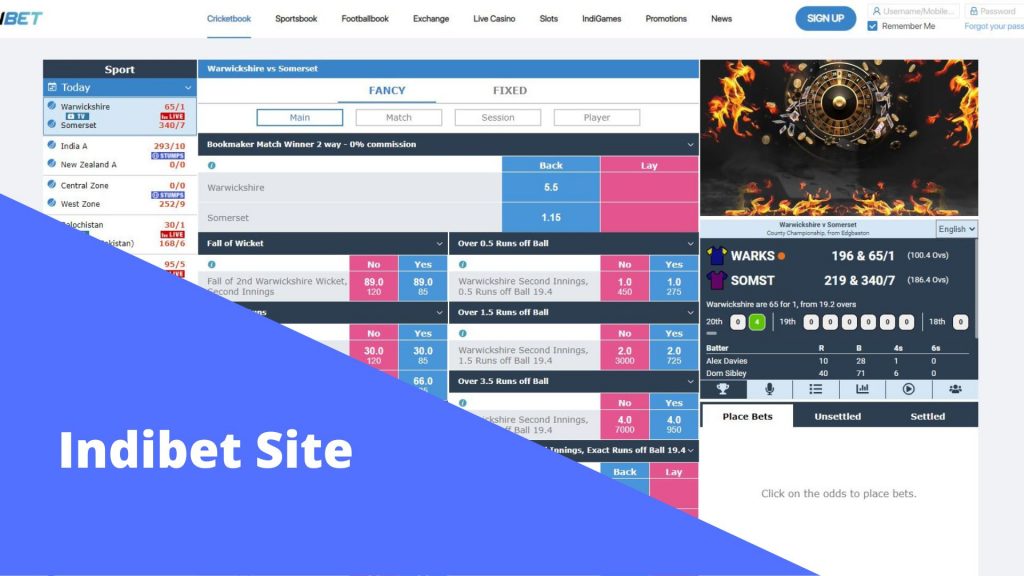 Indibet Site Overview